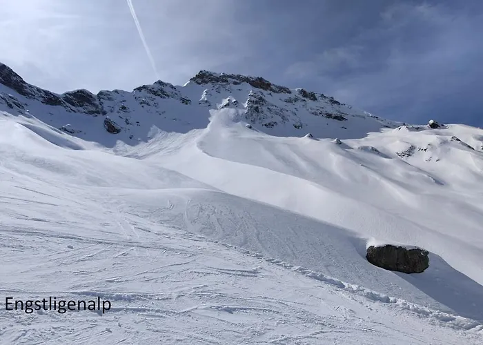 Energy Appartamento *