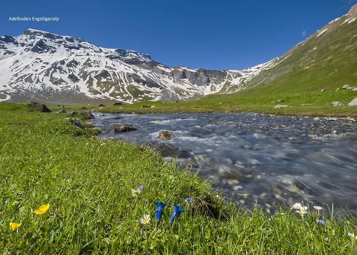 Energy Appartamento Kandersteg